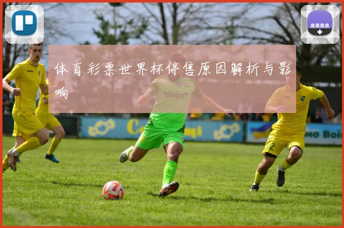 体育彩票世界杯停售原因解析与影响