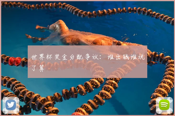 世界杯奖金分配争议：谁出钱谁说了算