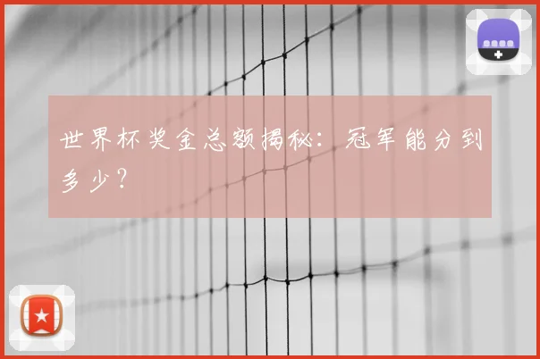 世界杯奖金总额揭秘:冠军能分到多少?