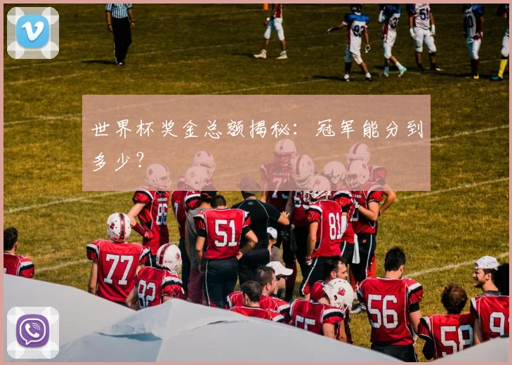 世界杯奖金总额揭秘：冠军能分到多少？