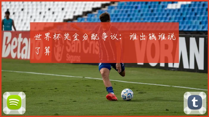 世界杯奖金分配争议：谁出钱谁说了算