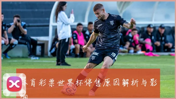 体育彩票世界杯停售原因解析与影响