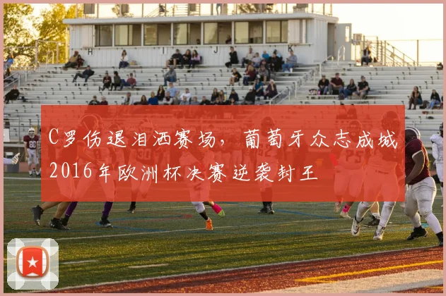 C罗伤退泪洒赛场，葡萄牙众志成城2016年欧洲杯决赛逆袭封王
