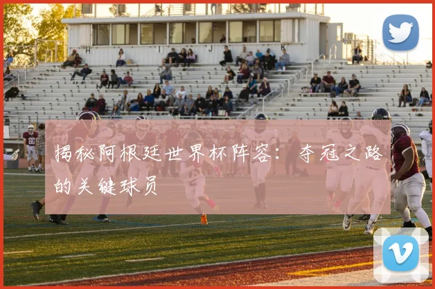 揭秘阿根廷世界杯阵容：夺冠之路的关键球员