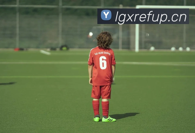 星空官网网页版入口平台生态图